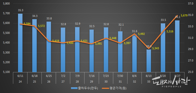 최근 주간 평균 도매가격(원) 및 출하두수(만두)@축산물품질평가원