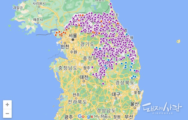 국내 ASF 발생지도(주황 사육돼지, 보라 및 파랑 감염멧돼지)@구글지도