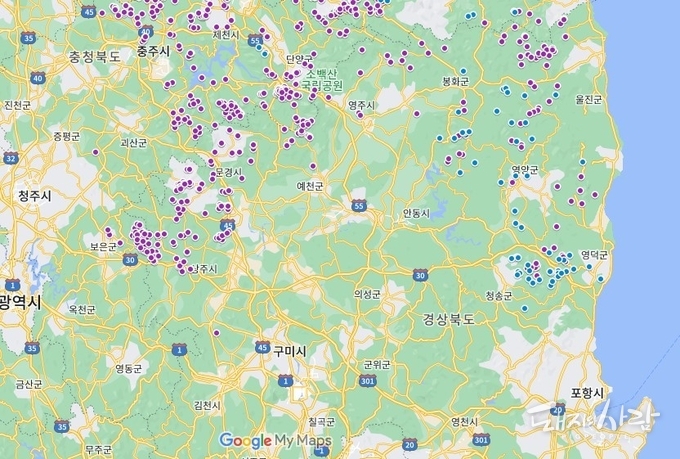 ASF 발생 지도(파란점: 최근 한 달간의 감염멧돼지 발견지점, 보라점: 이전 발견된 감염멧돼지 발견지점)@구글지도