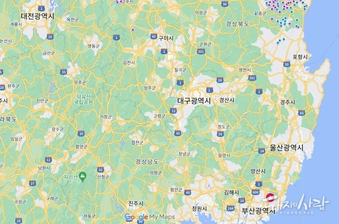 21일 부산에서 ASF 감염멧돼지가 처음으로 확인되었습니다@구글지도