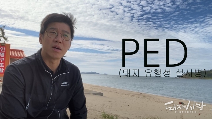 4장 유튜브 영상 갈무리@닥터 스와인 유튜브