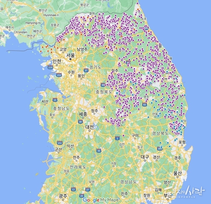 역대&nbsp;ASF 감염멧돼지 발견지점(12월 31일 기준, 파랑: 최근 한 달 이내, 보라: 한 달 이전)@구글지도