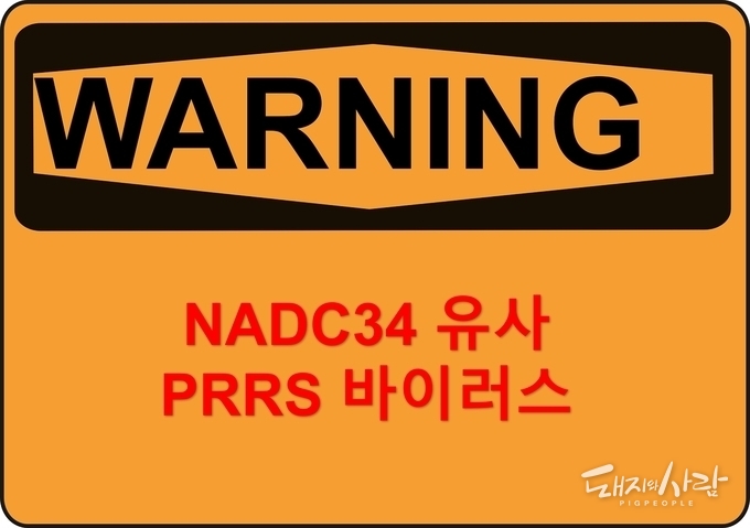 NADC34 유사 PRRS 바이러스는 병원성이 매우 높은 바이러스@픽사베이