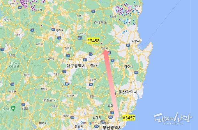 부산 최초 감염멧돼지(#3457)는 경북 영천 소재 렌더링업체에서 미인지상태에서 처리되었으며, 해당 렌더링업체와 부산 수렵인 차량에서 바이러스가 검출된 것으로 알려졌습니다@구글지도