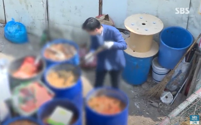 음식물 쓰레기 먹인 돼지 11만 마리 유통…국내도 비상@SBS 갈무리
