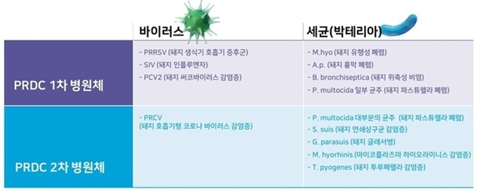 PRDC를 유발하는 주요 병원체
