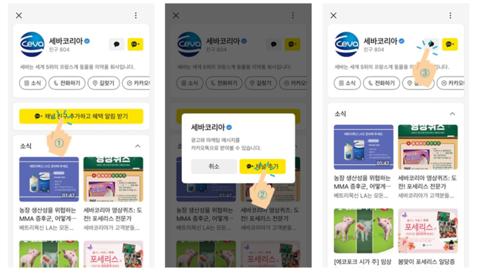 세바코리아 카카오톡 채널 가입 및 채팅시작 방법