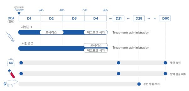 실험 디자인