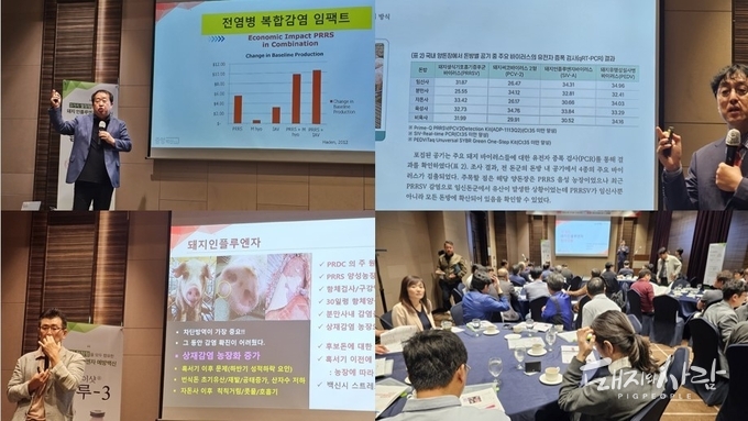 16일 중앙백신연구소 돼지인플루엔자 세미나 현장@돼지와사람