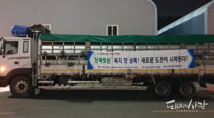난축맛돈, 경남서 프리미엄급 흑돼지로 새 도전@경상남도농업기술원