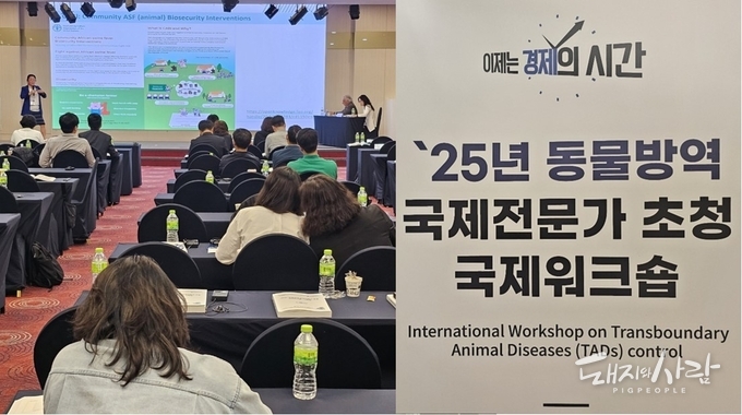 지난 20일 ‘2025년 동물방역 국제전문가 초청 국제워크숍’ 발표 현장@돼지와사람