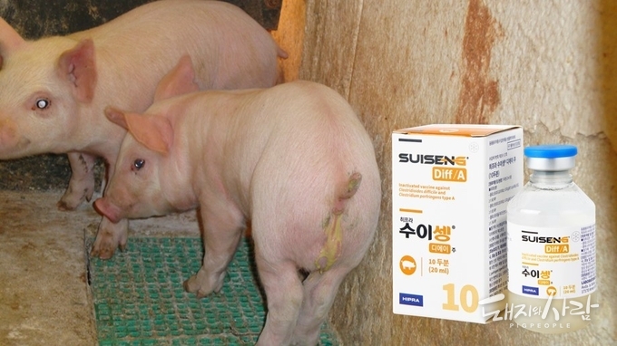 국내 최초 클로스트리듐 퍼프린젠스 A형 및 디피실 예방 백신 '수이셍 DA'@한국히프라