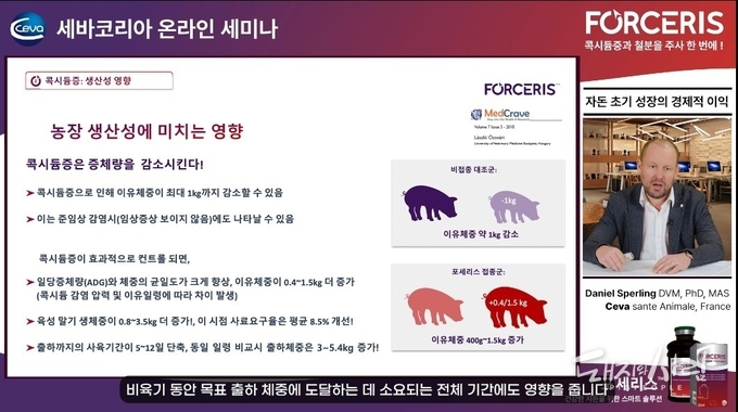 콕시듐증이 자돈 단계뿐만 아니라 육성·비육돈 단계에도 영향을 미친다고 설명하는 스펄링 박사@웨비나 영상 갈무리