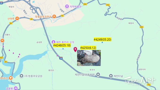 지난 11일 충북 제천서 발견된 ASF 감염멧돼지(#4250)@국립야생동물질병관리원, 구글지도
