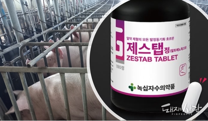 알트레노제스트 성분 알약 제형의 모돈 발정동기화 호르몬 '제스탭 정'@녹십자수의약품