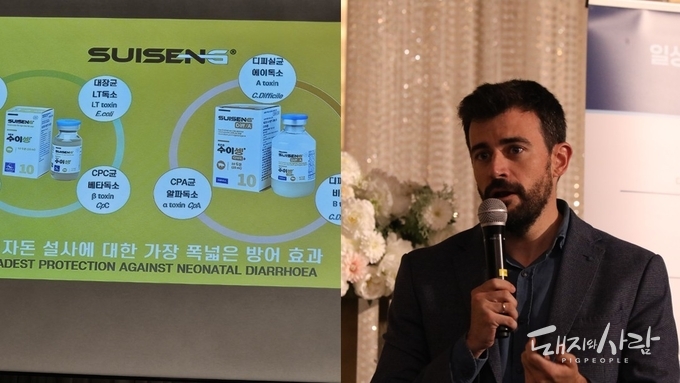 호아킨 수의사는 수이셍과 수이셍 DA를 함께 사용 시 대장균뿐만 아니라 여러 클로스트리듐 질병을 동시에 에방할 수 있다고 소개했습니다@돼지와사람