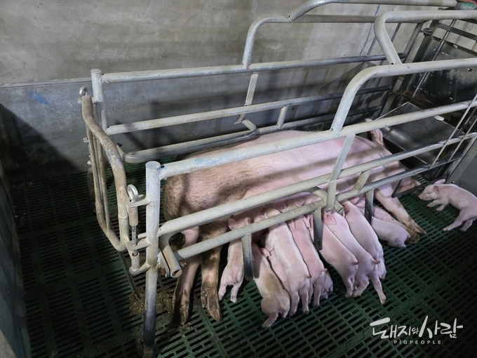 사진은 본 논문과 직접적인 연관은 없음@독자 제공