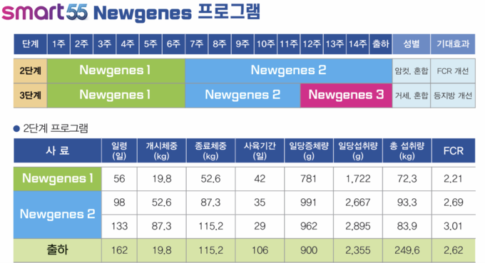 스마트55 뉴진스 프로그램@우성