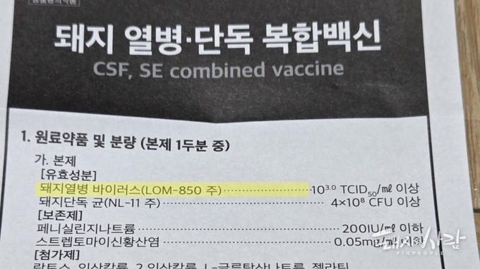 돼지열병·단독 복합백신 내 돼지열병 롬(LOM)주@독자 제공