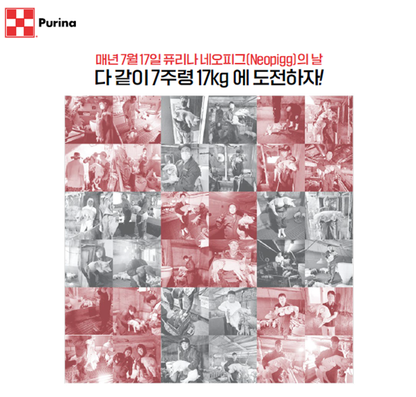 매년 7월 17일은 퓨리나 네오피그의 날@퓨리나