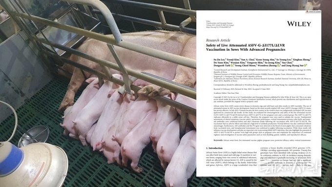 Safety of Live Attenuated ASFV-G-ΔI177L/ΔLVR Vaccination in Sows With Advanced Pregnancies 논문 표지@Transboundary and Emerging Diseases, Wiley 