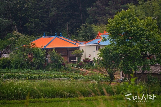 한국 농촌 풍경@픽사베이