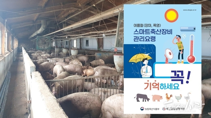 여름철 스마트축산장비 관리요령@축산물품질평가원