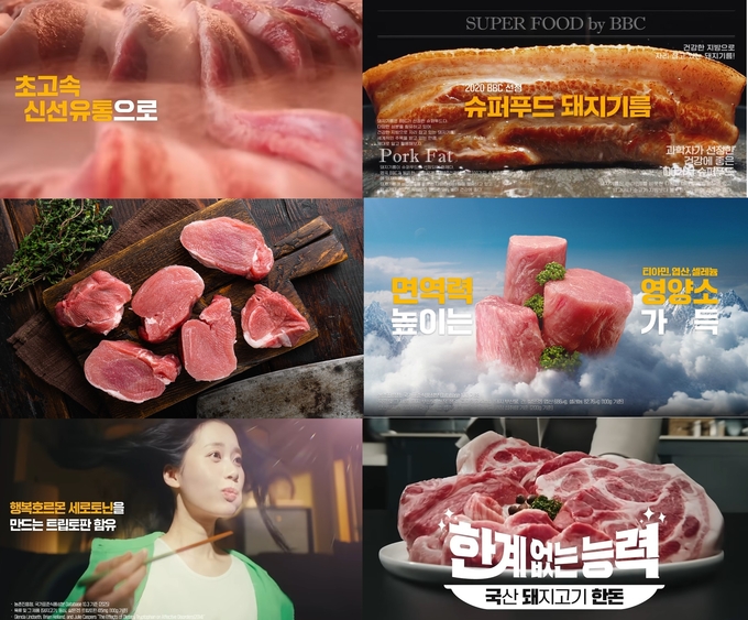 한돈자조금은 '한계 없는 능력, 국돼 한돈' 캠페인을 통해 한돈이 지닌 우수한 영양학적 가치와 건강 기능을 구체적으로 전달하고, 전 국민이 한돈을 친근하게 체감할 수 있도록 소비자 접점에서 다양한 마케팅 활동을 펼치고 있습니다@한돈자조금