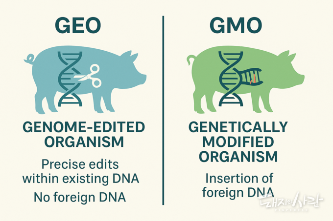 GEO 기술(왼쪽)과 GMO 기술(오른쪽)@AI 프로그램 제작