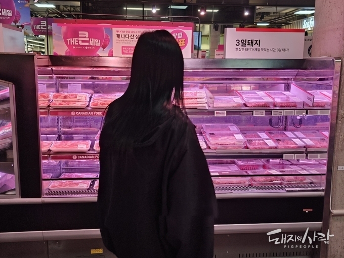 캐나다산 냉장 돼지고기와 국내산 냉장 돼지고기, 둘 중 무엇을 살지 고민하는 듯한 한 소비자@돼지와사람