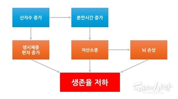 산자수 증가와 자돈 생존율 저하의 연관성(Tucker et al., 2021)