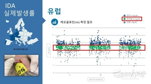 무증상 빈혈(준빈혈)은 육안으로 확인하기 어렵지만, 성장 지연 등 여러 문제를 유발한다.