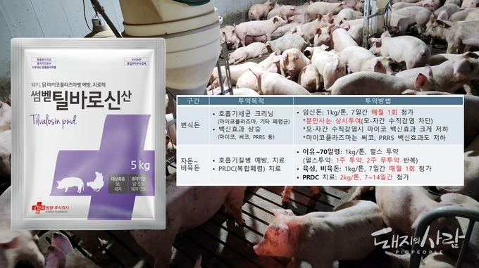 썸벧틸바로신산 돼지 권장 프로그램@썸벧
