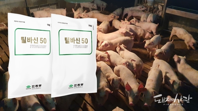 진보된 마이코플라즈마 치료제 '틸바신50'@동방