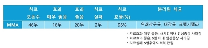 모돈 베트리목신 LA 주사 치료 효과