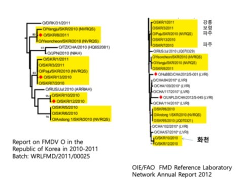 그림 1. OIE/FAO 구제역 표준연구소 네트워크 년례 보고서 2012 Mya-98 SEA 계통수