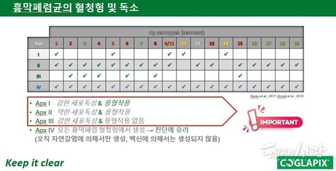 각 흉막폐렴 혈청형이 생성하는 Apx 외독소
