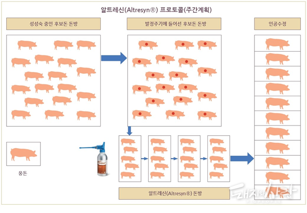 알트레신 프로토콜 흐름