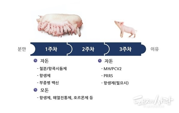 분만사 표준 약품 프로그램