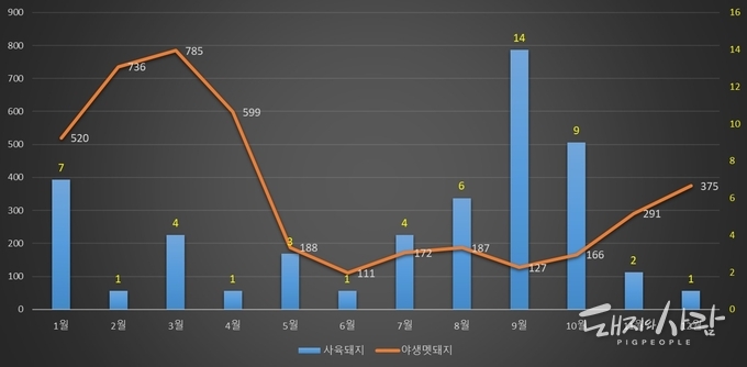 월별 누적 감염멧돼지 발견건수 및 사육돼지 발생건수@국립야생동물질병관리원, 농식품부
