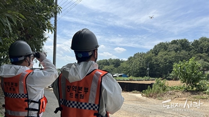 드론으로 멧돼지 기피제를 살포하는 가축방역지원본부(경북 중부사무소) 드론 전담팀@경산시