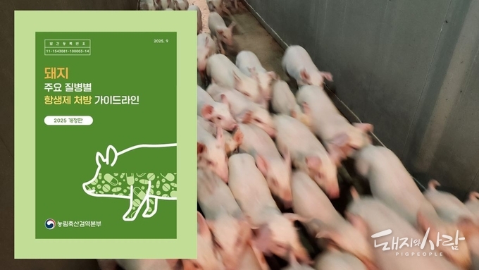 돼지 주요 질병별 항생제 처방 가이드라인 2025년 개정판@검역본부