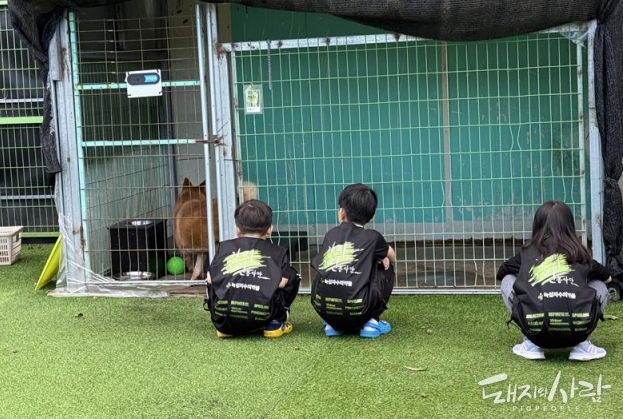 가치그린봉사단 아이들이 보호견을 바라보며 따뜻한 마음을 전하고 있습니다@녹십자수의약품