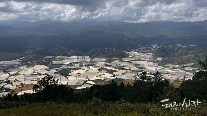 람동성(달랏) 시설재배단지 전경@축산환경관리원