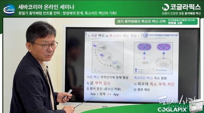 사균 백신과 톡소이드 백신의 특징을 설명하는 정병열 박사@웨비나 영상 갈무리