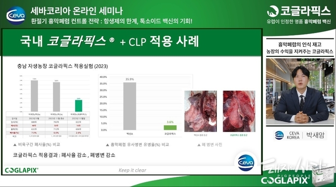 국내 코글라픽스와 CLP 적용 사례를 소개하는 박새암 팀장@웨비나 영상 갈무리