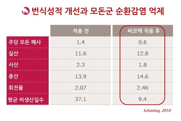 그림 3. 써코백 모돈 접종 효과: 번식성적 개선 & 모돈군 순환감염 억제