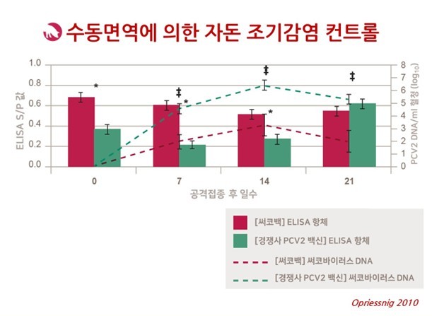 그림 4. 써코백의 우수한 PCV2 조기 감염 컨트롤 효과