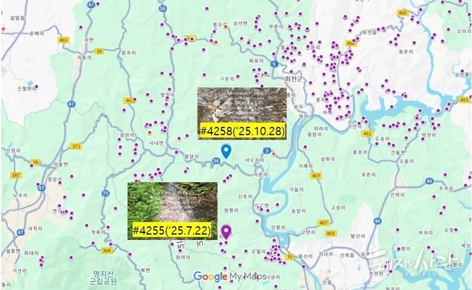 강원도 춘천 ASF 감염멧돼지 발견지점@구글지도, 국립야생동물질병관리원