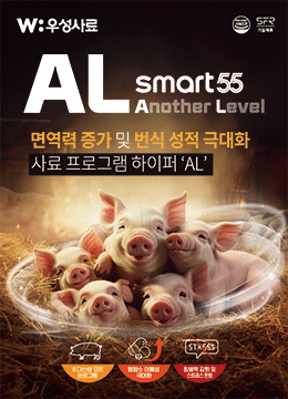 배너